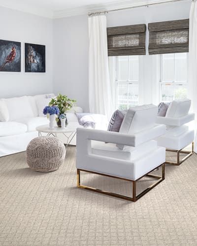 Image depicting the Service Carpet